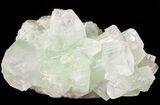 Zoned Apophyllite Crystal Cluster with Stilbite - India #44351-1